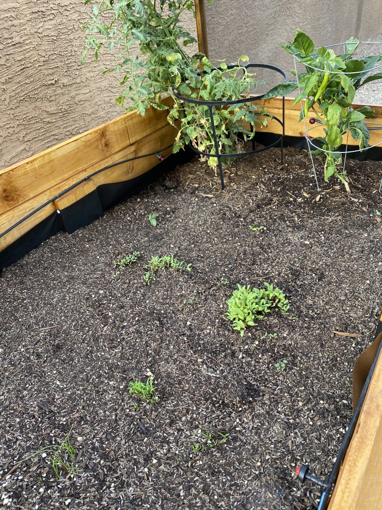 DIY Raised Garden Bed tutorial