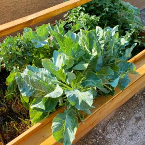 raised garden bed | random thoughts for a Monday morning