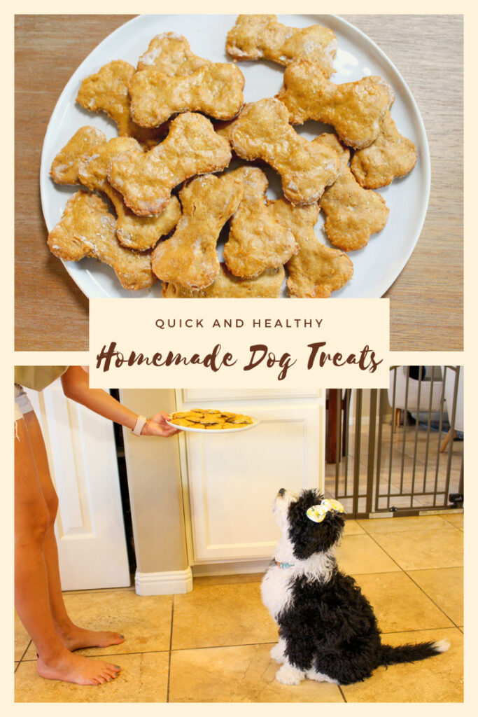 homemade dog treats