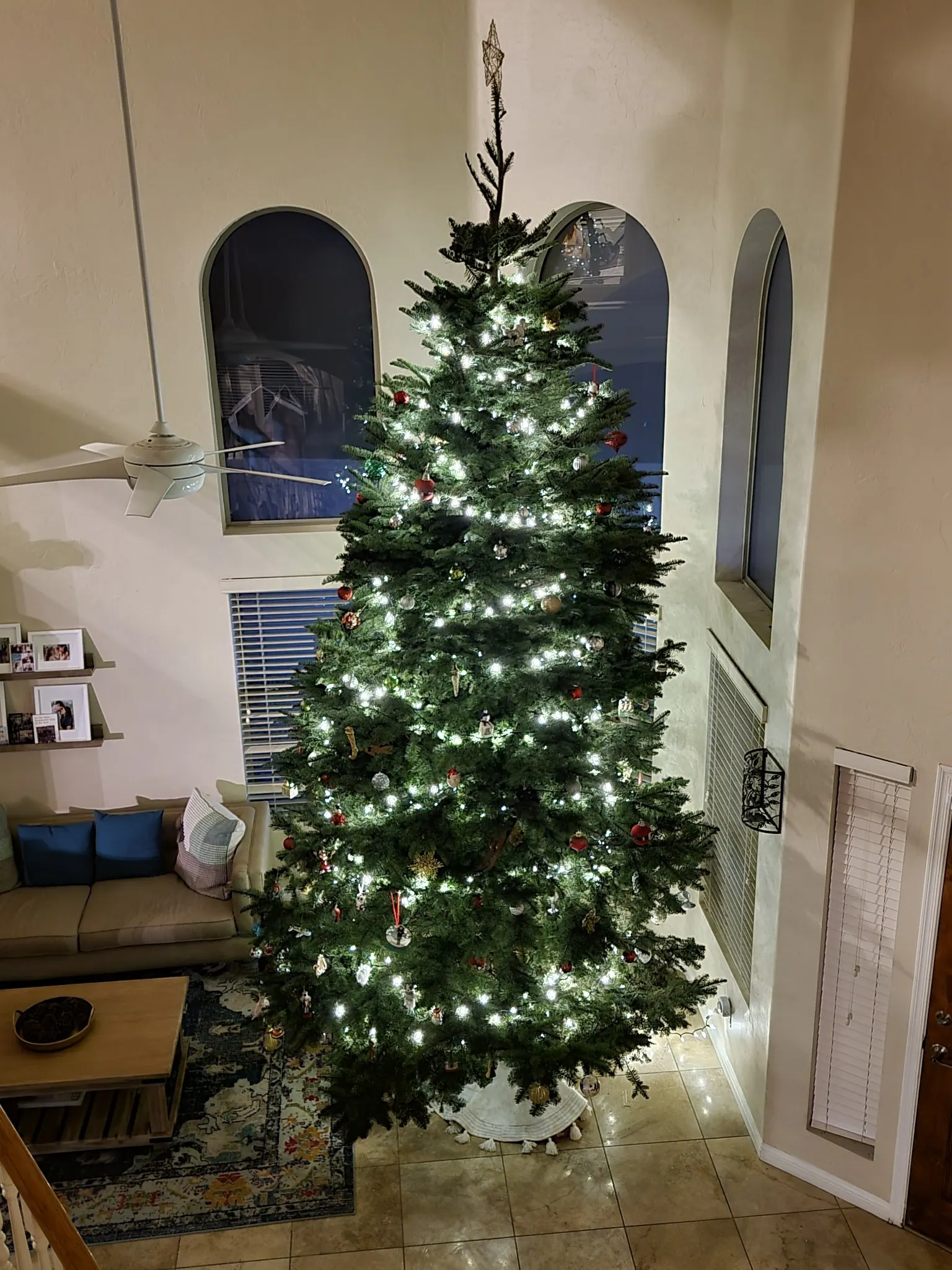 christmas tree.jpg