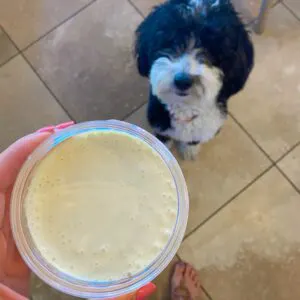 How to make homemade mayonnaise