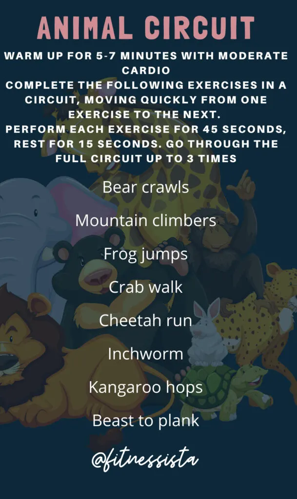 animal circuit workout