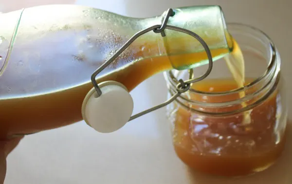 How to Make a Kombucha Scoby - The Fermentation Adventure