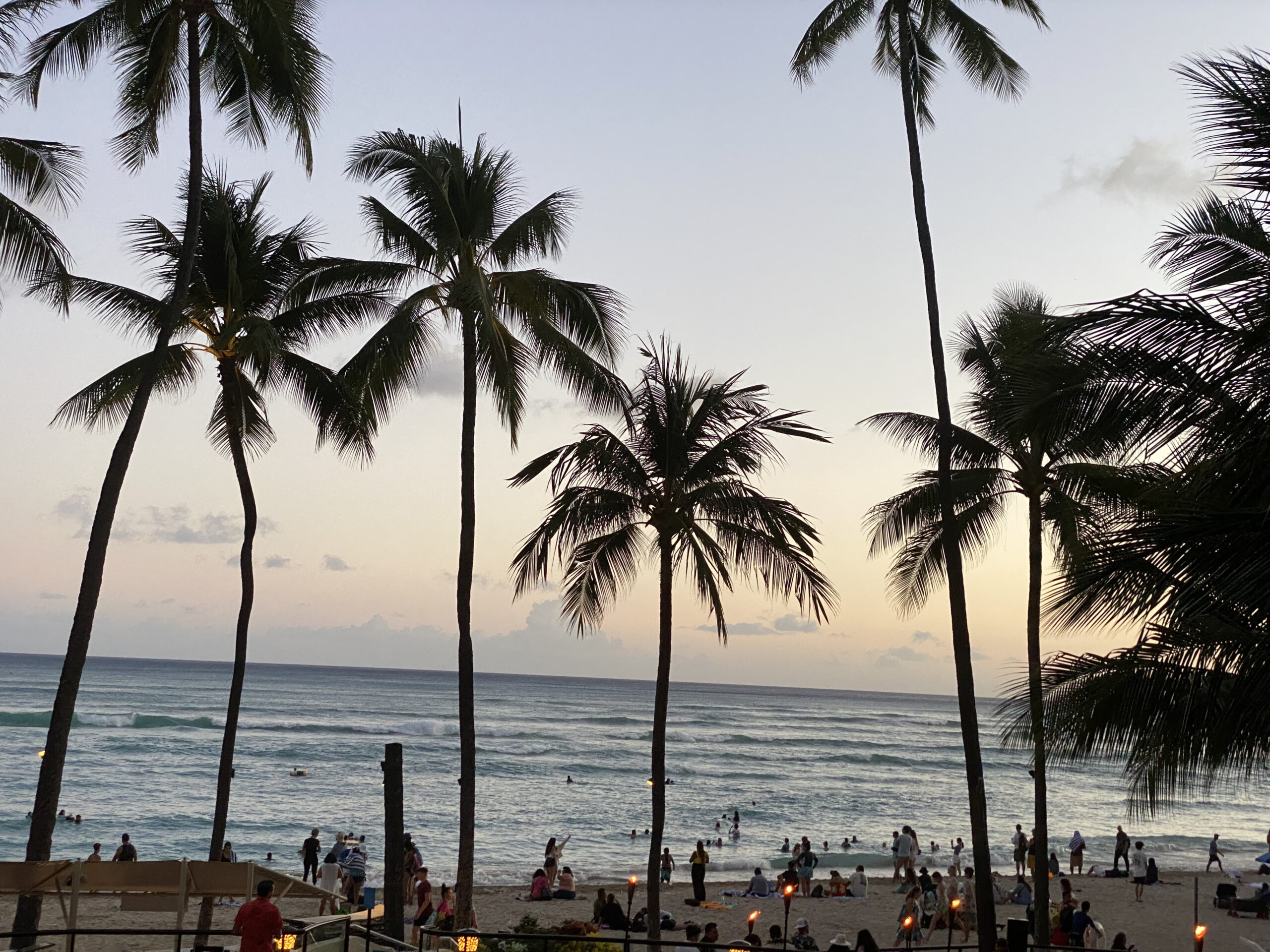 What to Do and Where to Stay in Waikiki