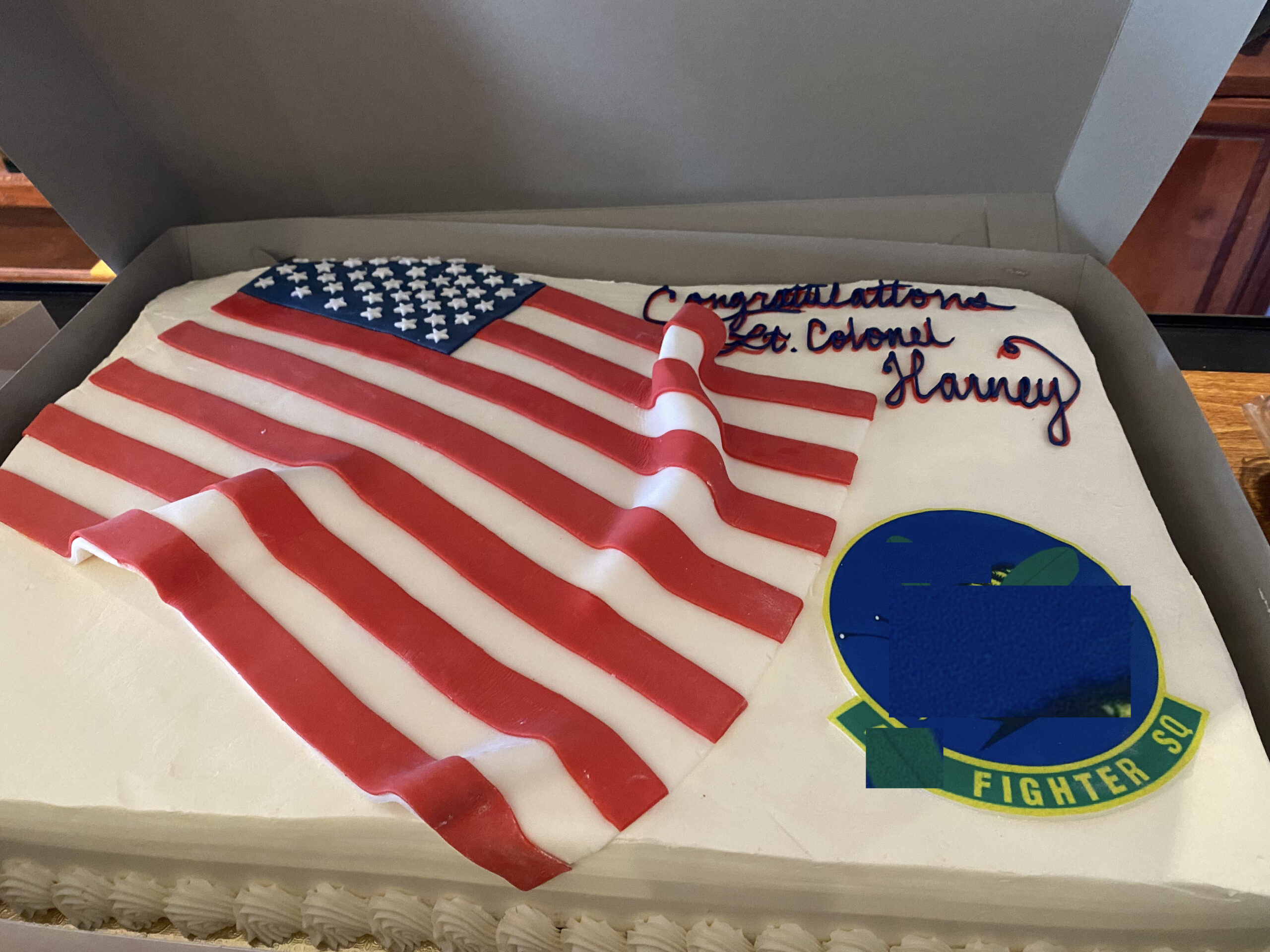 fighter squadron cake