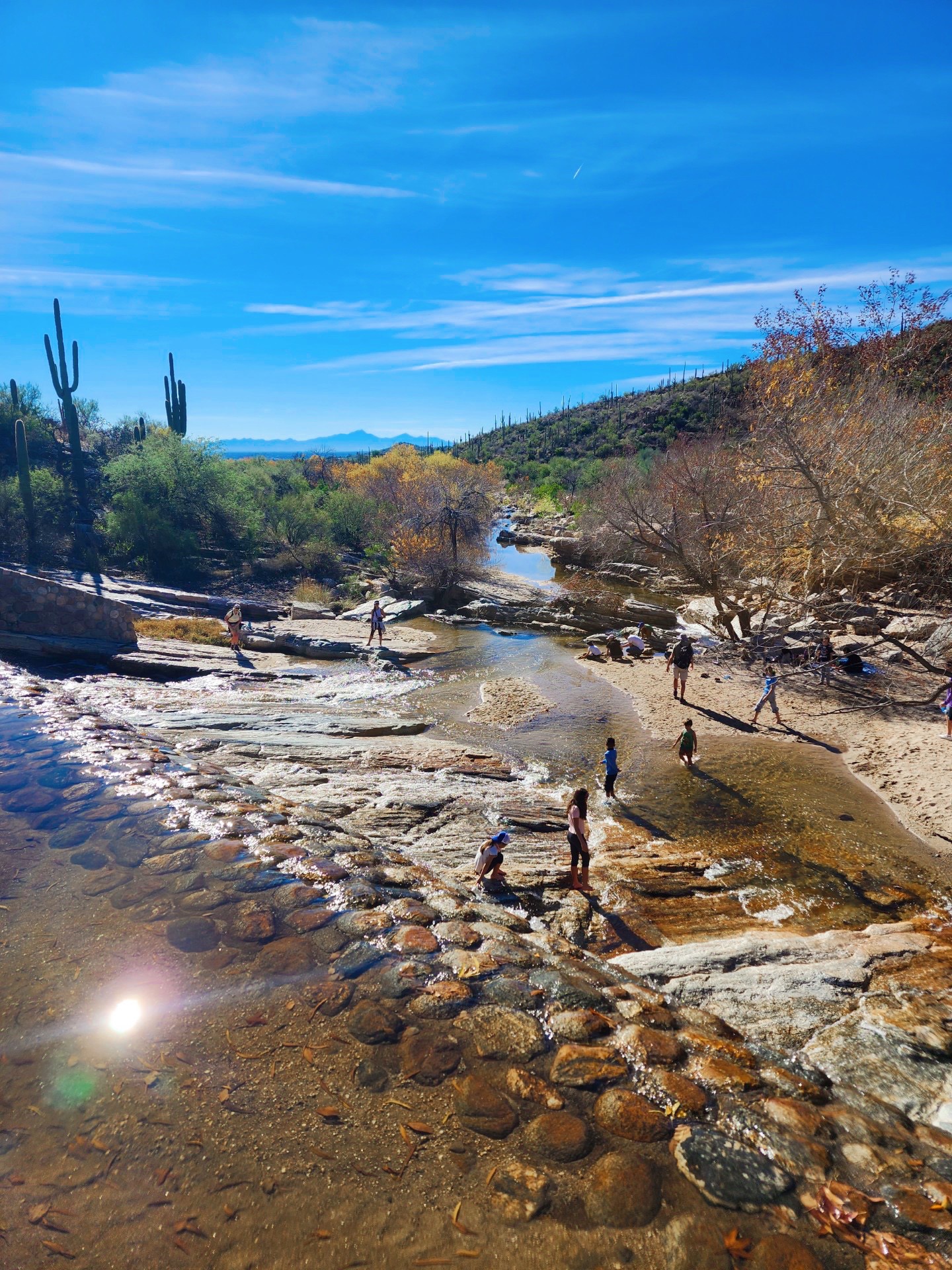 hike to the Sabino Dam