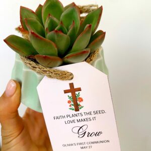 first communion succulent favors