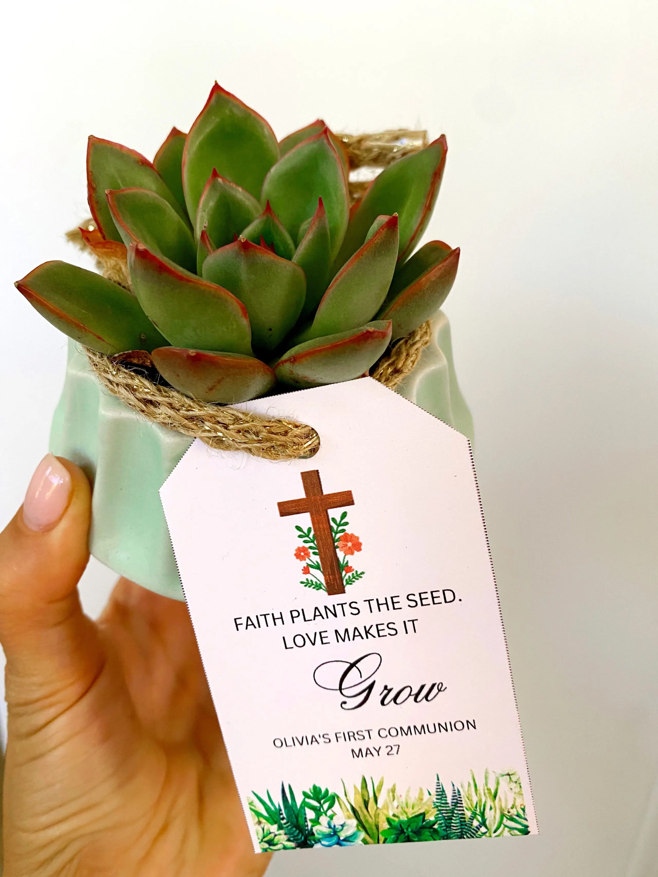 succulents First Communion favors | Friday Faves 6.2