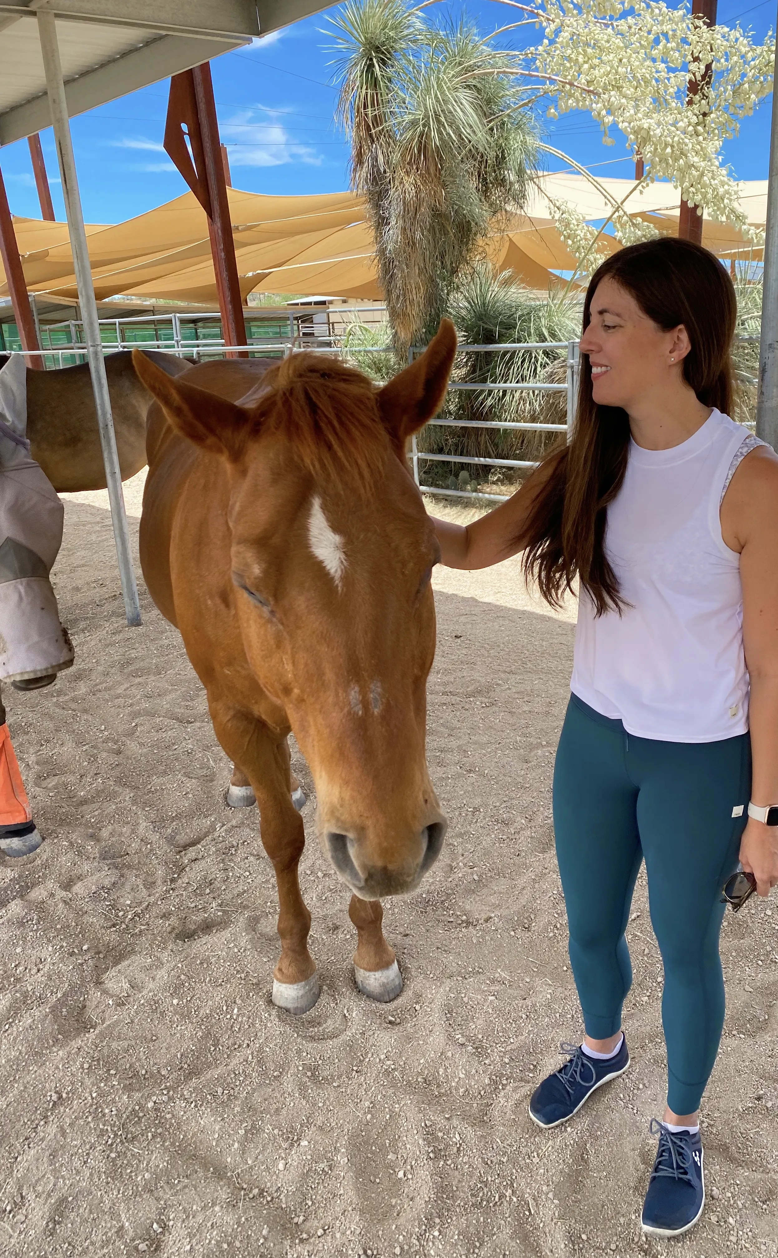 Gina petting a horse