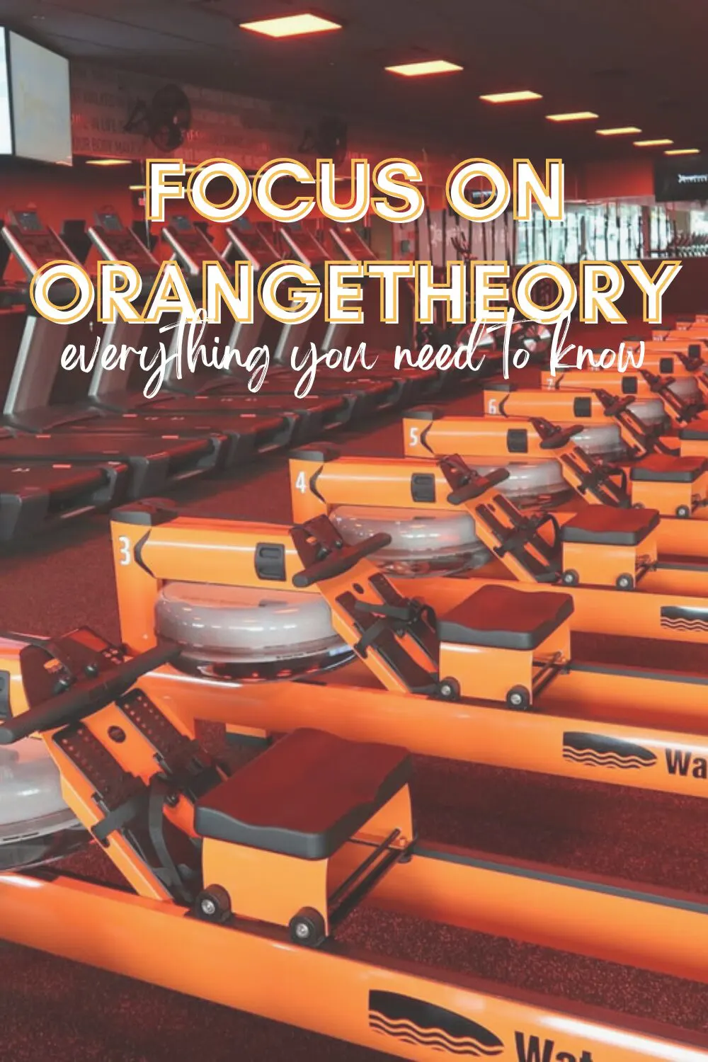 What to Expect at Orangetheory Fitness - An Orangetheory Review
