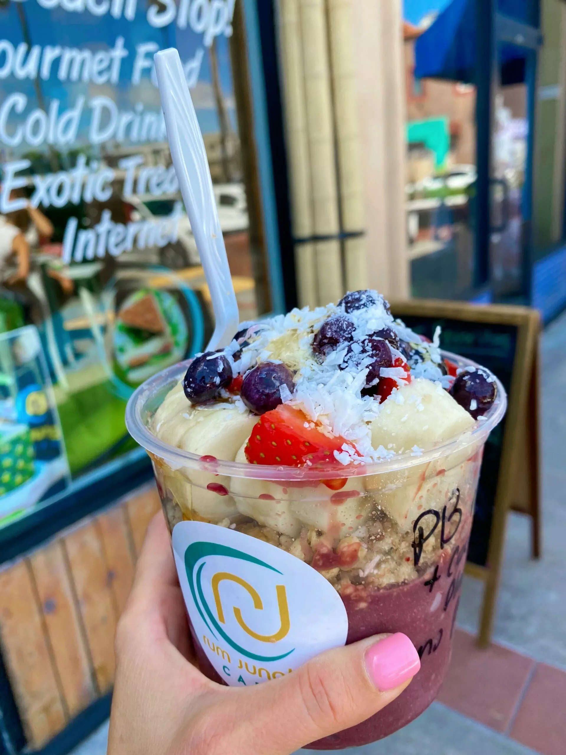 acai bowl | San Diego summary