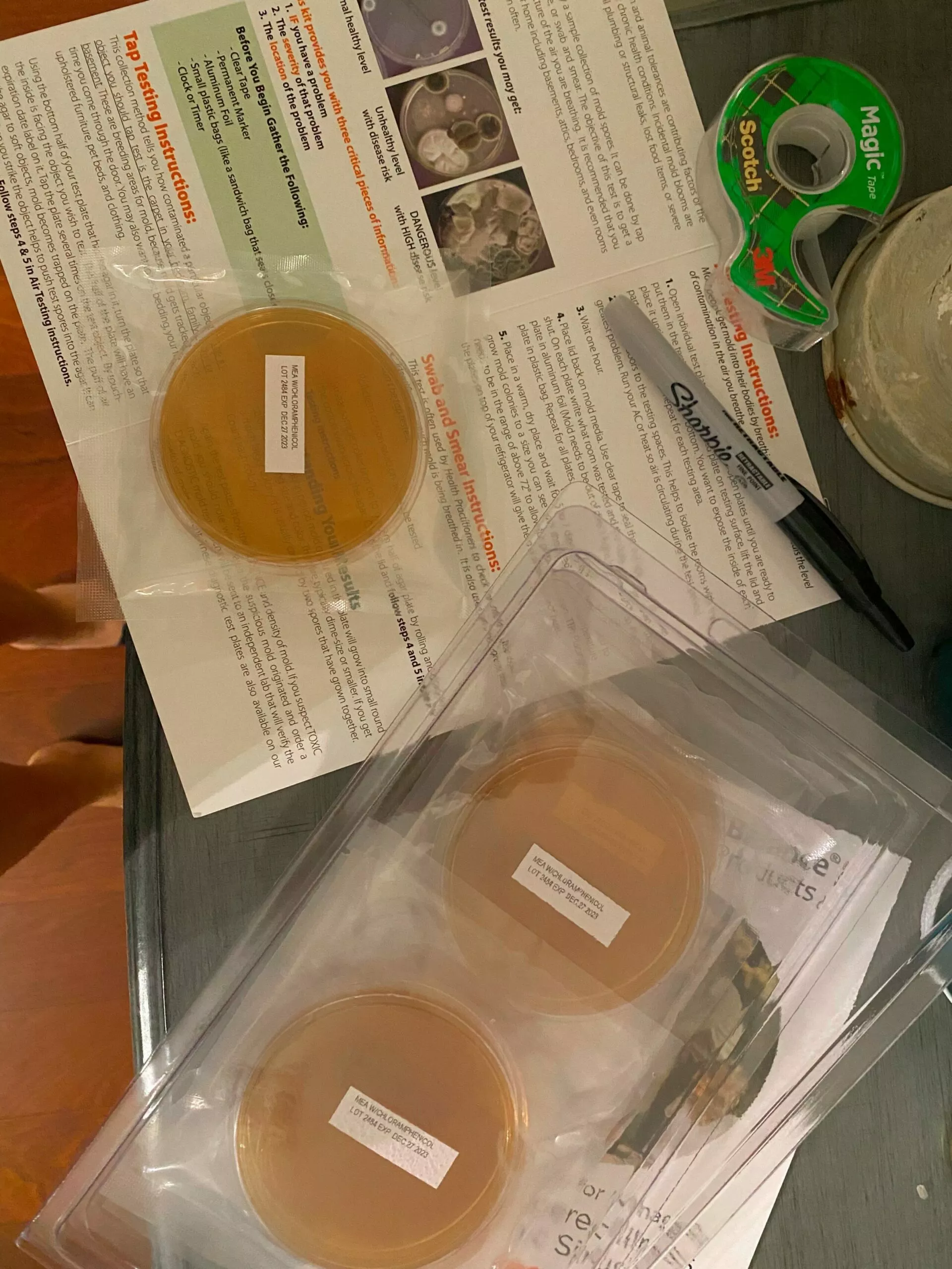 mold testing 1.jpg