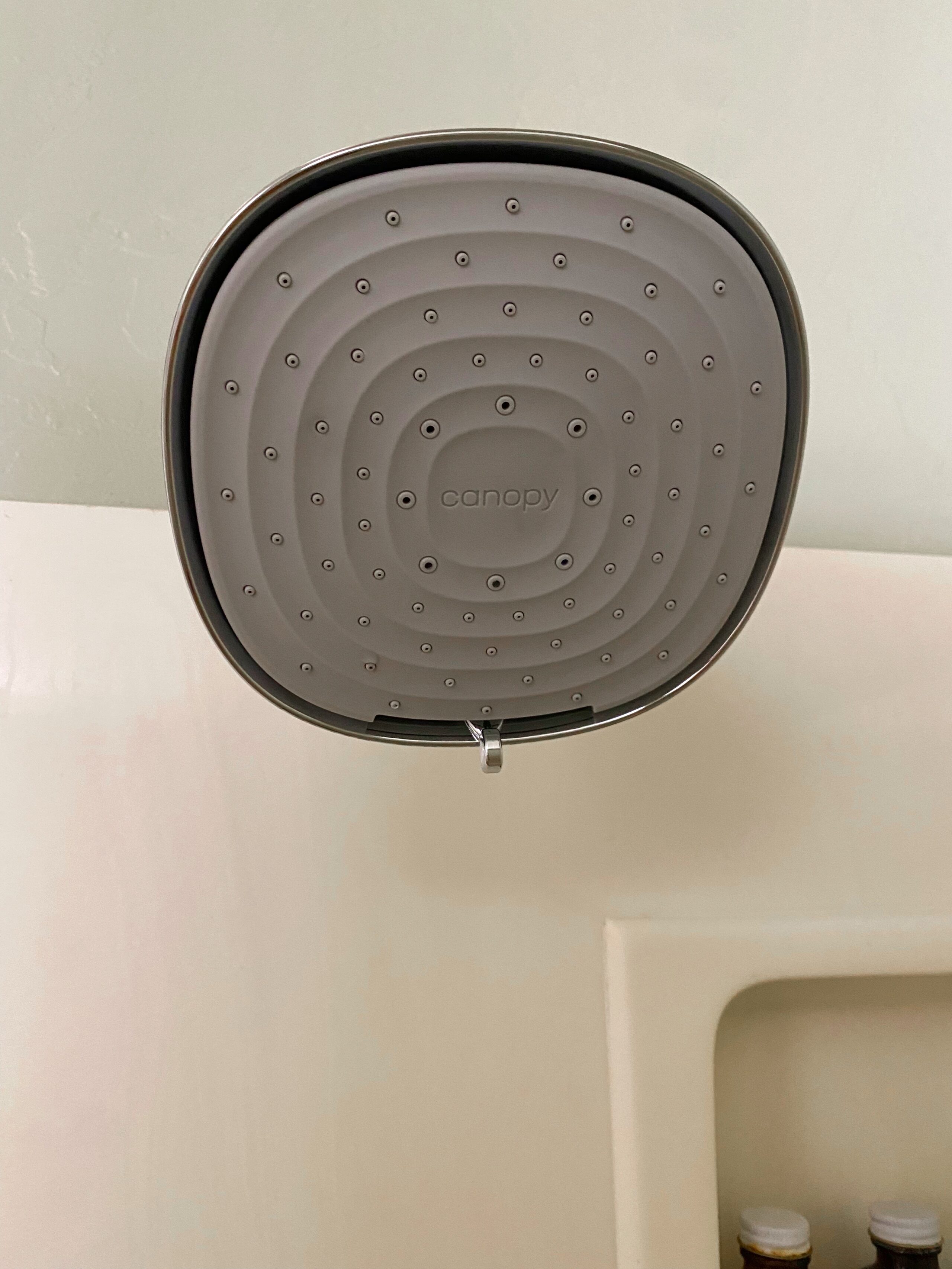 Canopy shower water filter review