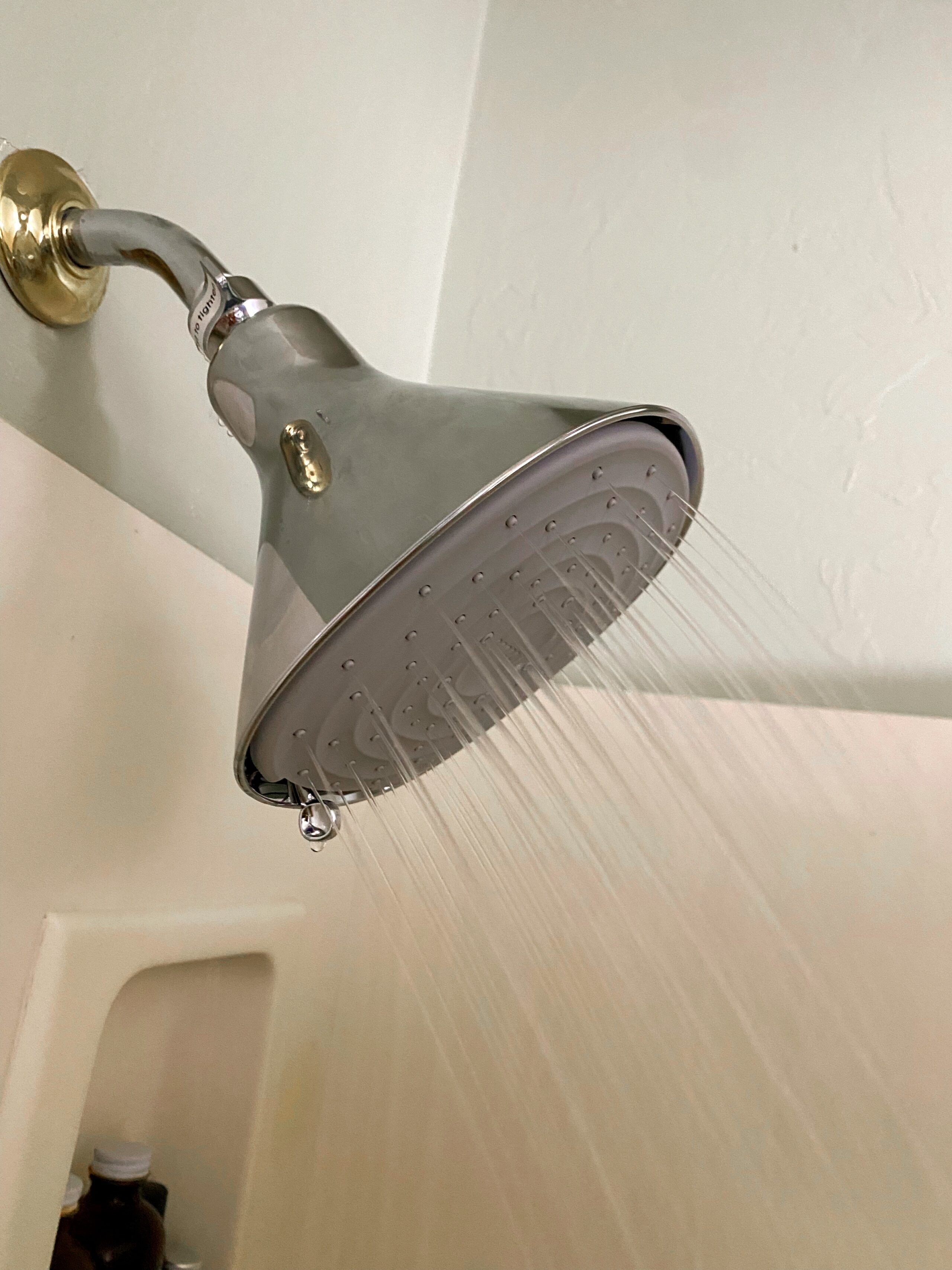 Canopy shower water filter