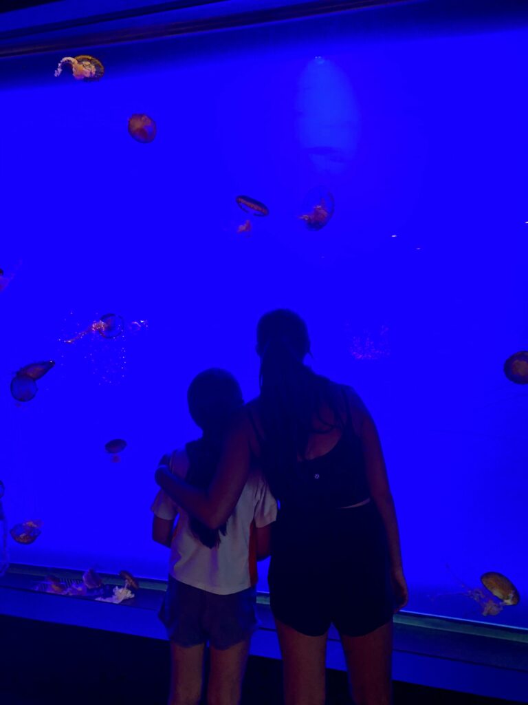 family at the aquarium 