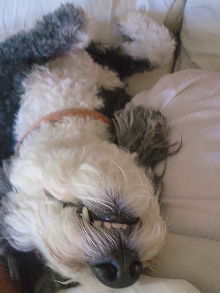 mazer with her lil teef