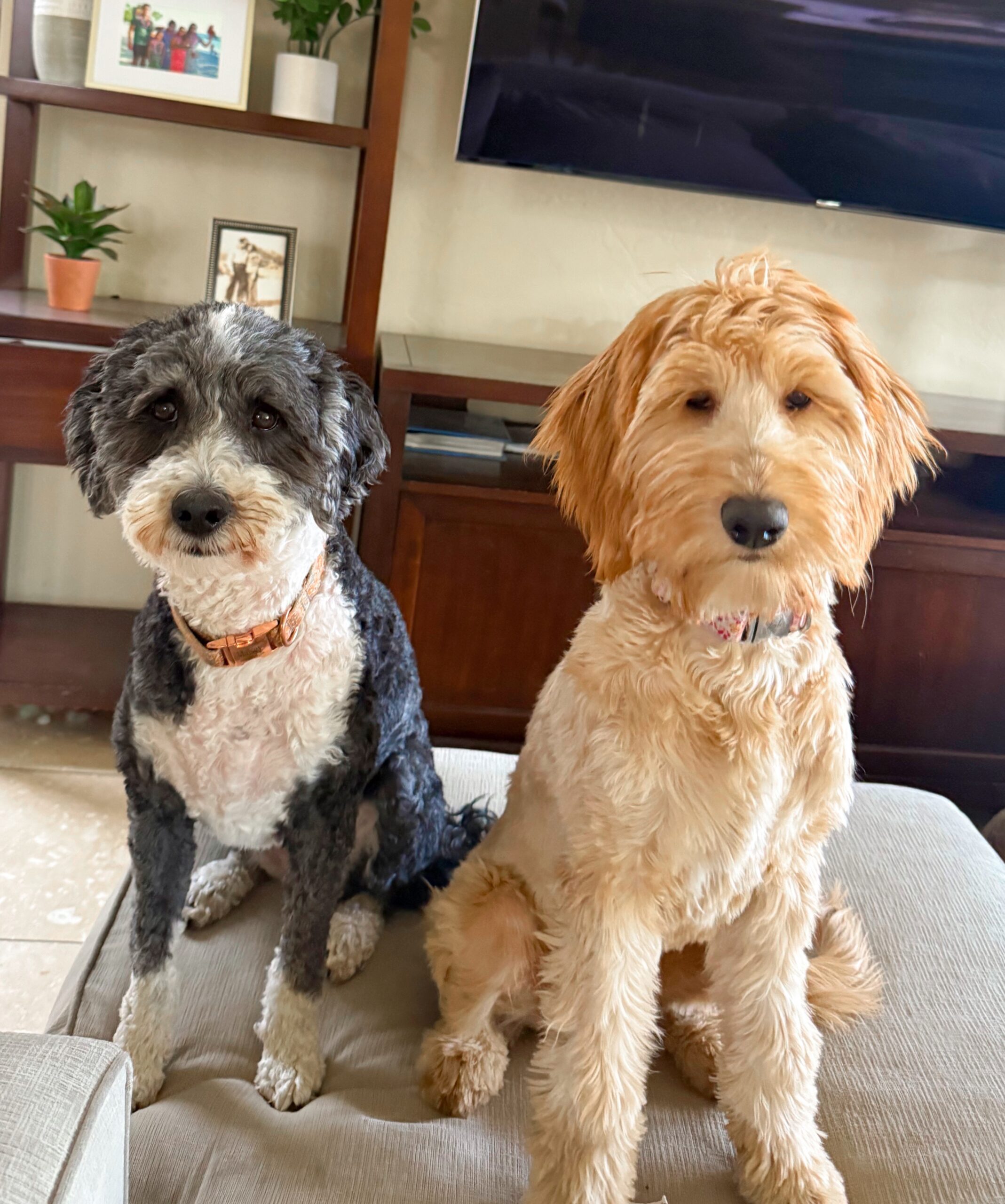 4.17 Friday Faves – The Fitnessista