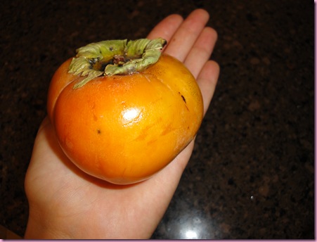 persimmon