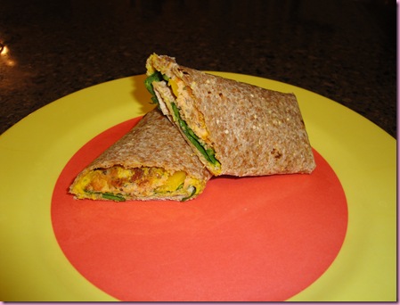 salmonbitewrap