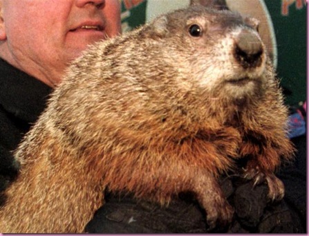 punxsutawney-phil