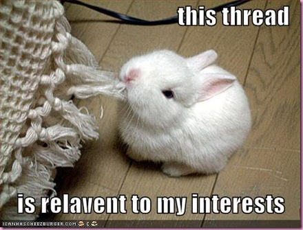 funny-pictures-rabbit-eats-thread