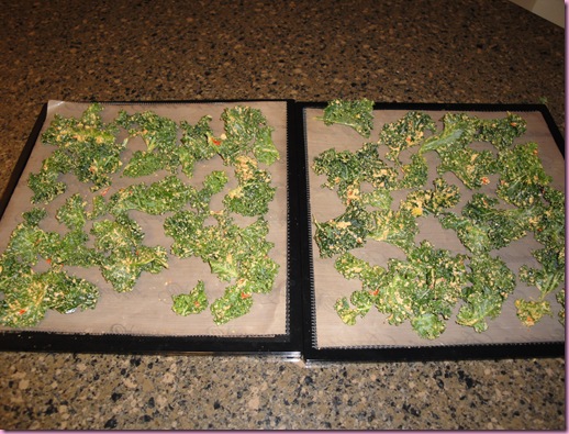 kale chips (2)