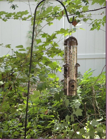 bird feeder