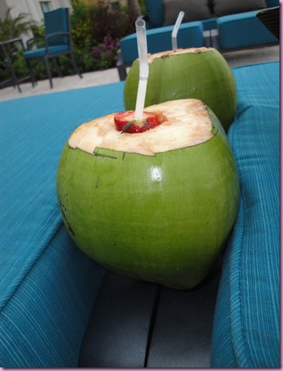 coconut drinks