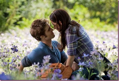 bella-and-edward-meadow-v3