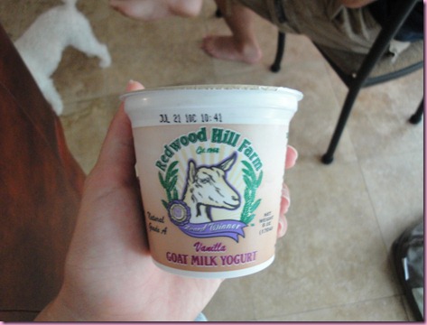 goat yogurt