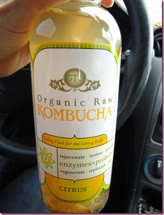 kombucha