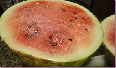 melon (2)