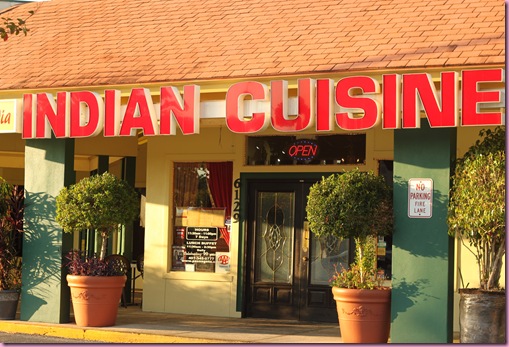 indian (2)