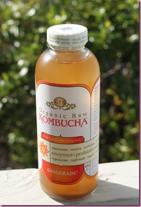 kombucha (2)