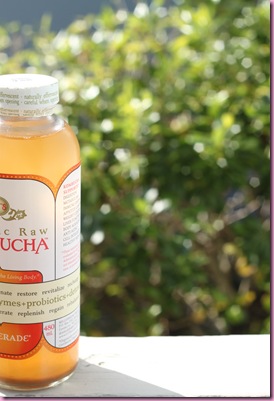 kombucha