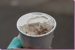ice cream (2)