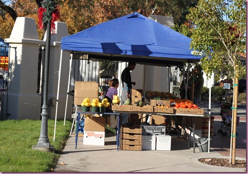 farmers market