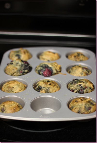 muffins2