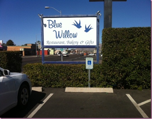 bluewillow