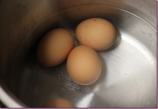 boiling eggs