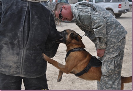 Dog and handler