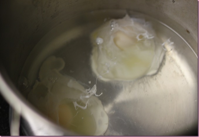 eggs (2)