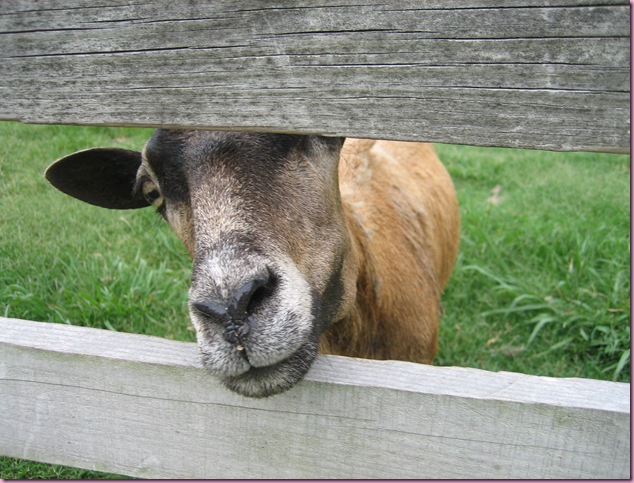 Two becomes three - The Fitnessista