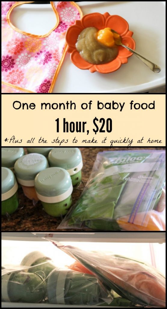 6 Homemade Baby Food Recipes to Save You Money