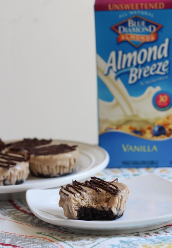 Almond Butter Ice Cream Cakes Recipe The Fitnessista