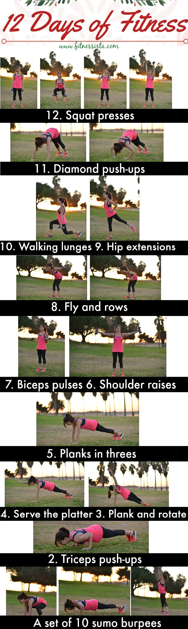 12 Days of Fitness Workout The Fitnessista