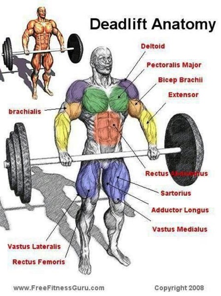 8 Ways to Deadlift