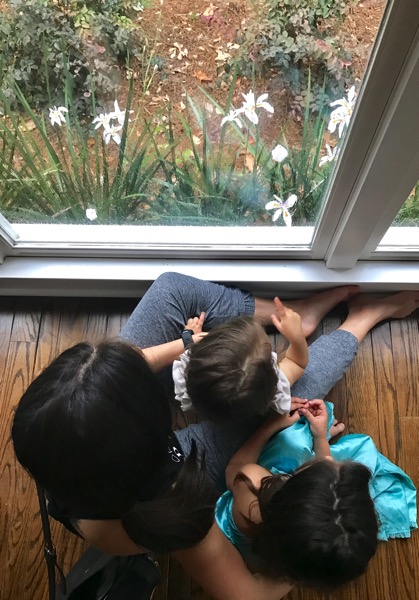 Watching the rain