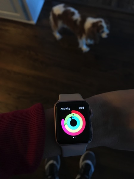 step goal apple watch