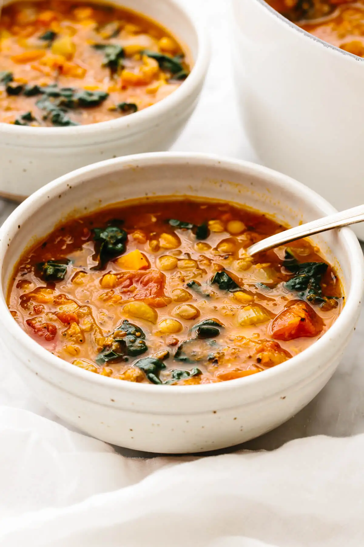 10 Gluten-Free & Dairy-Free Soup Recipes - The Fitnessista